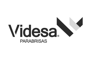 Videsa